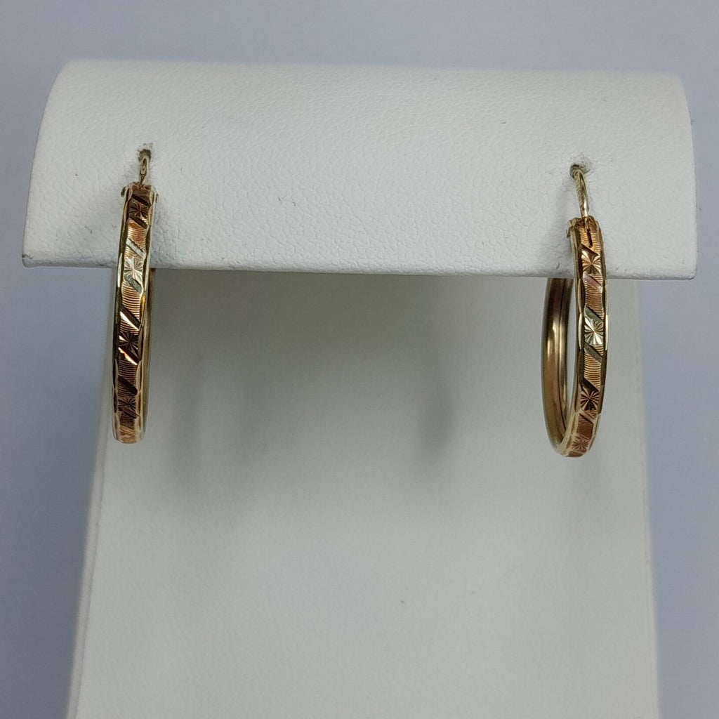 ARRACADAS PAR ORO 10 K 1.6 GRMS (SEMINUEVO)