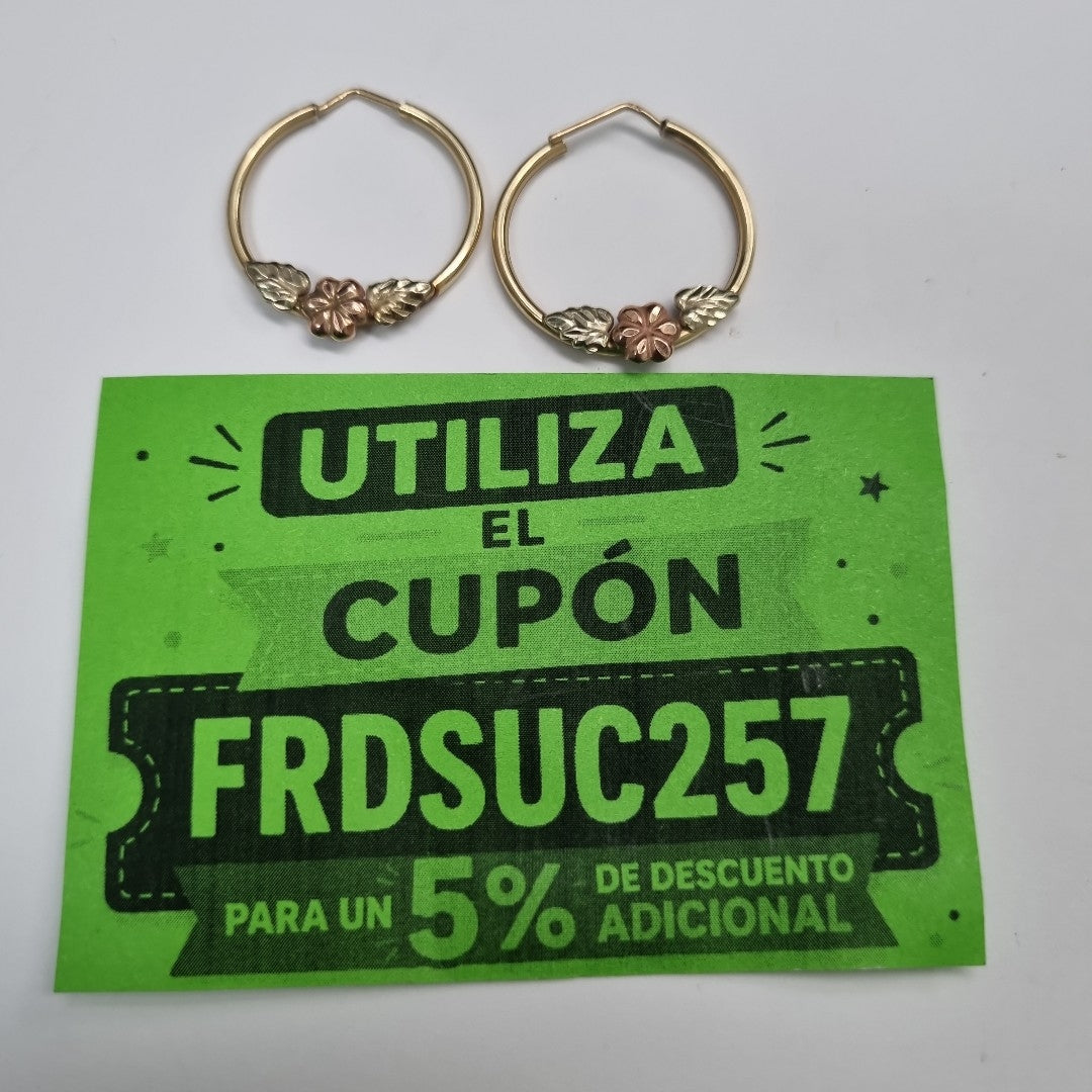 ARRACADAS PAR ORO, ORO COMBINADO 14 K 2.9 GRMS (SEMINUEVO)
