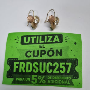 ARETES PAR ORO,ORO COMBINADO 10 K 2,40 GRMS (SEMINUEVO)