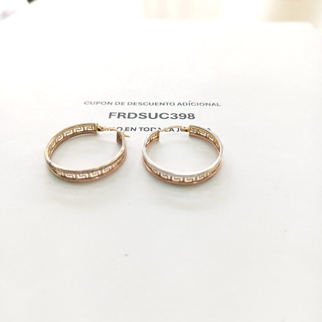 ARRACADAS PAR ORO,ORO COMBINADO 10 K 4,30 GRMS (SEMINUEVO)
