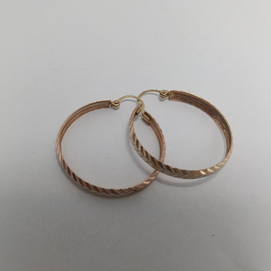 ARRACADAS PAR ORO 10 K 2,80 GRMS (SEMINUEVO)
