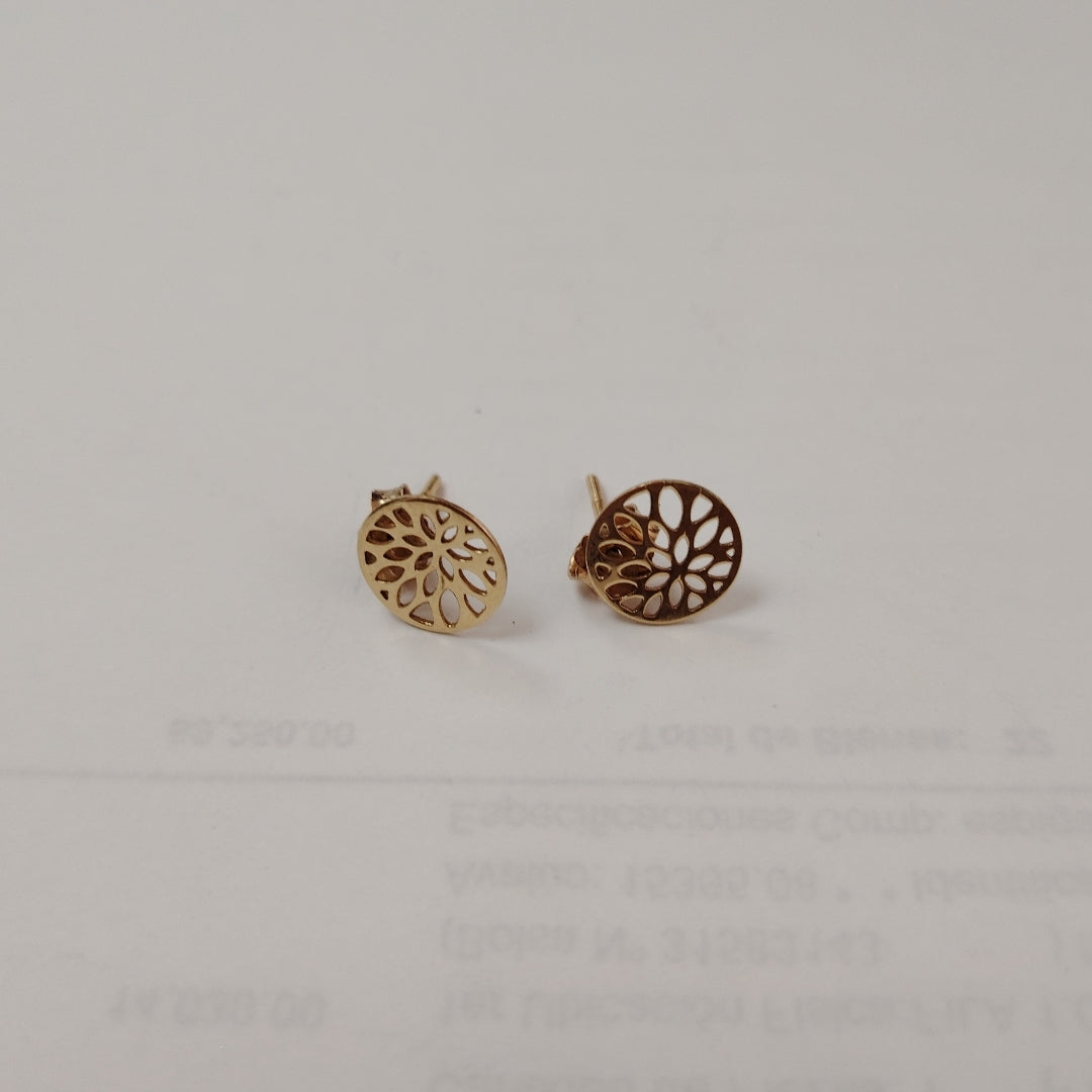 ARETES PAR ORO 14 K 1 GRMS (SEMINUEVO)
