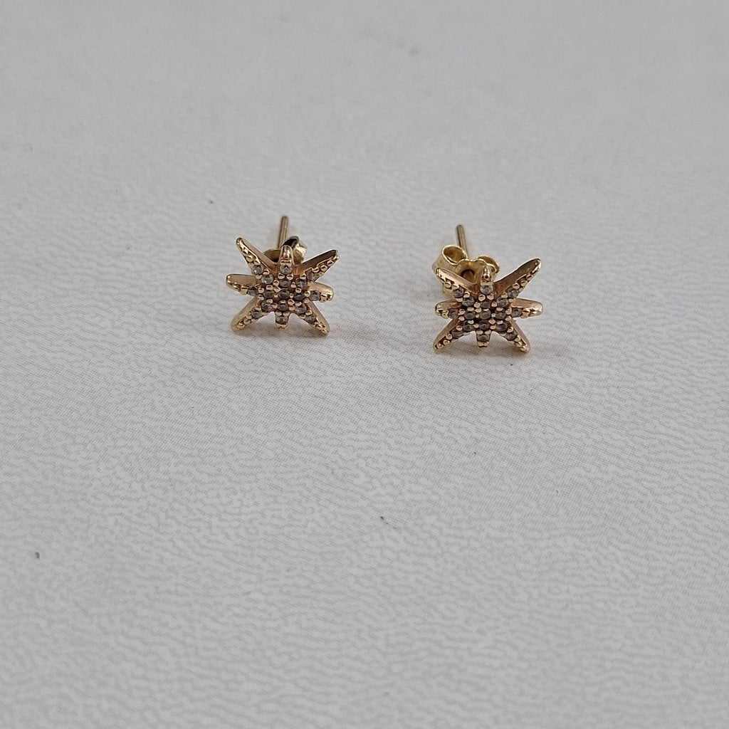 ARETES PAR ORO 10 K 1.4 GRMS (SEMINUEVO)