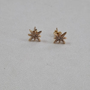 ARETES PAR ORO 10 K 1.4 GRMS (SEMINUEVO)