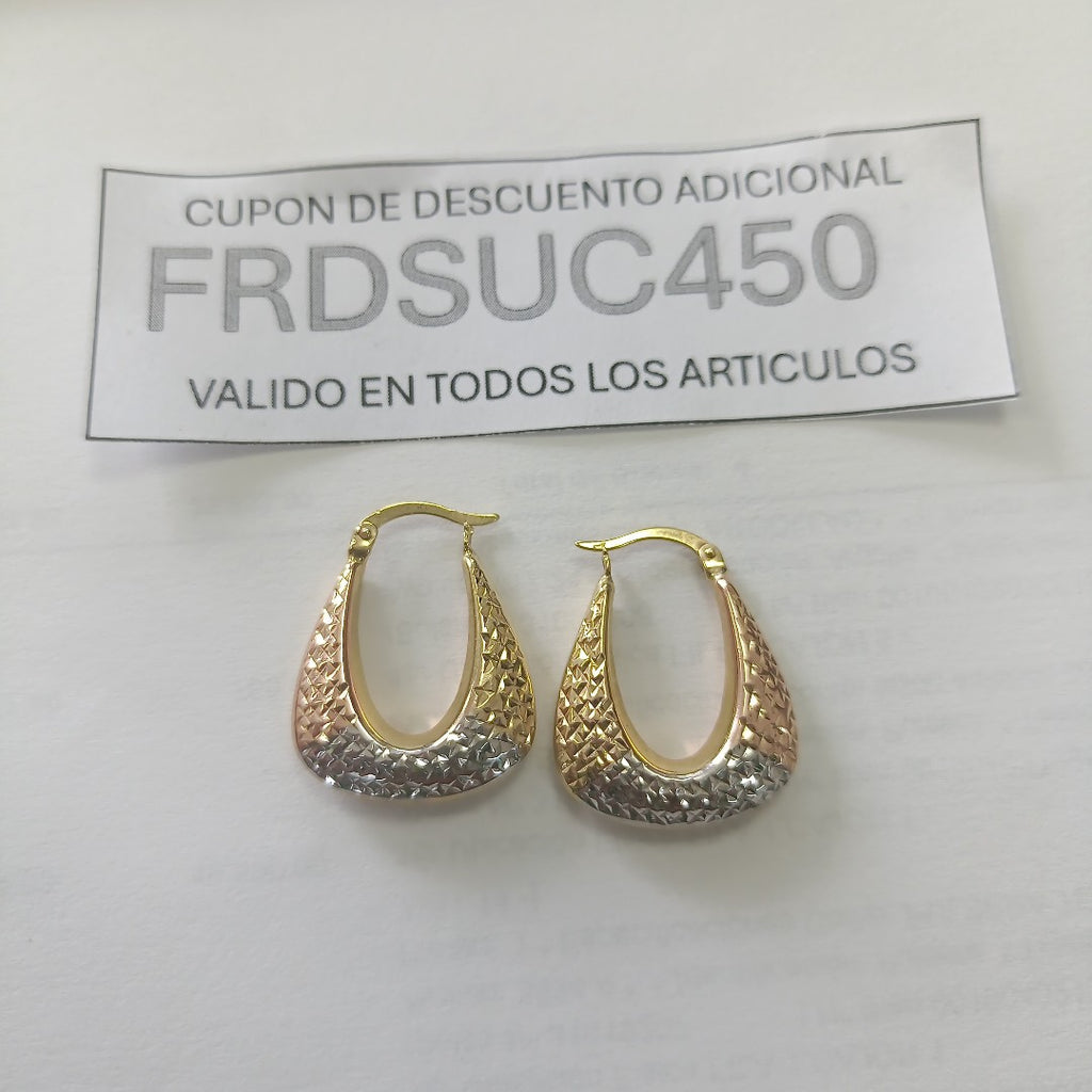 ARETES PAR ORO 10 K 2,60 GRMS (SEMINUEVO)