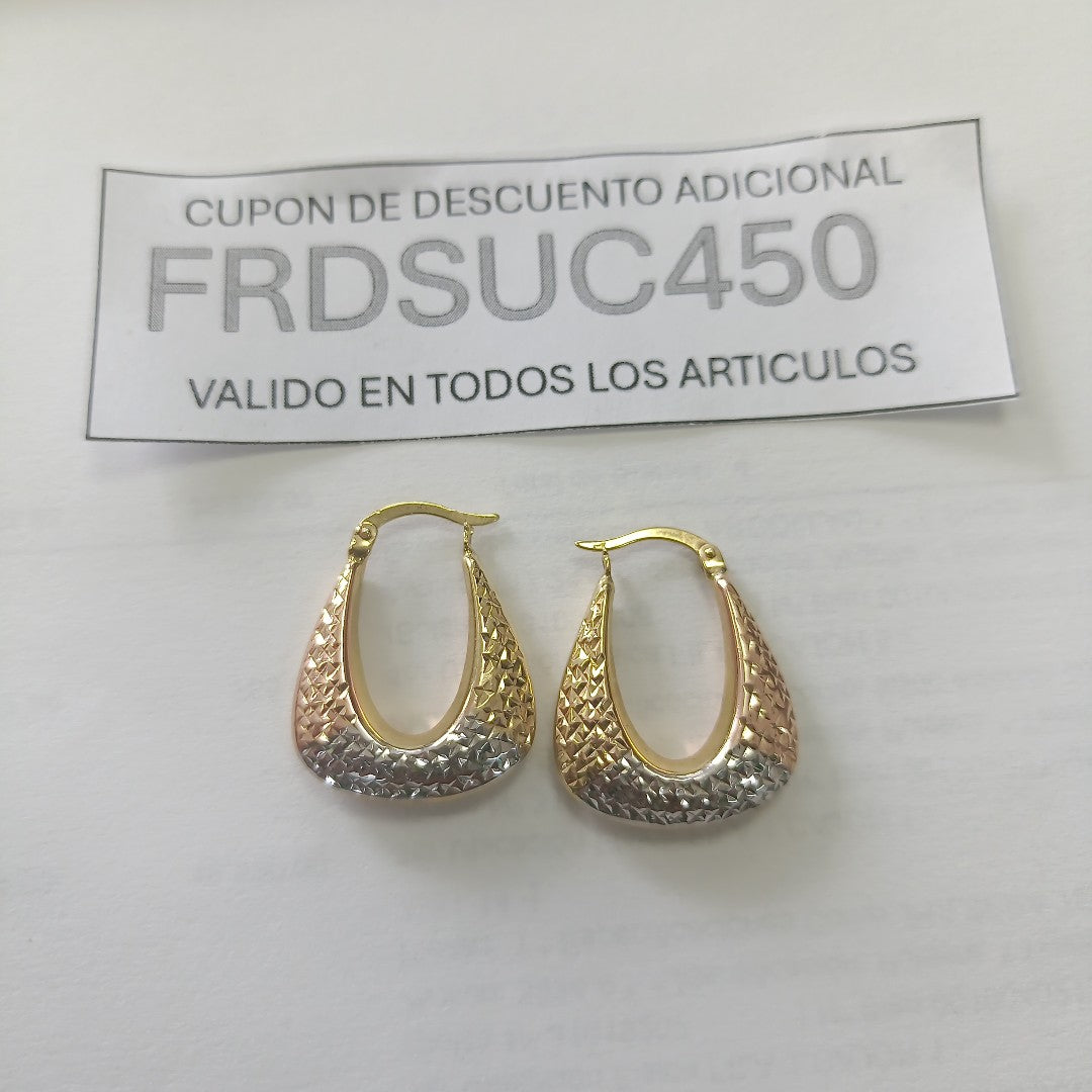 ARETES PAR ORO 10 K 2,60 GRMS (SEMINUEVO)