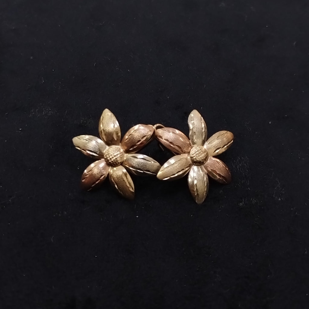 ARETES PAR ORO 10 K 3.4 GRMS (SEMINUEVO)