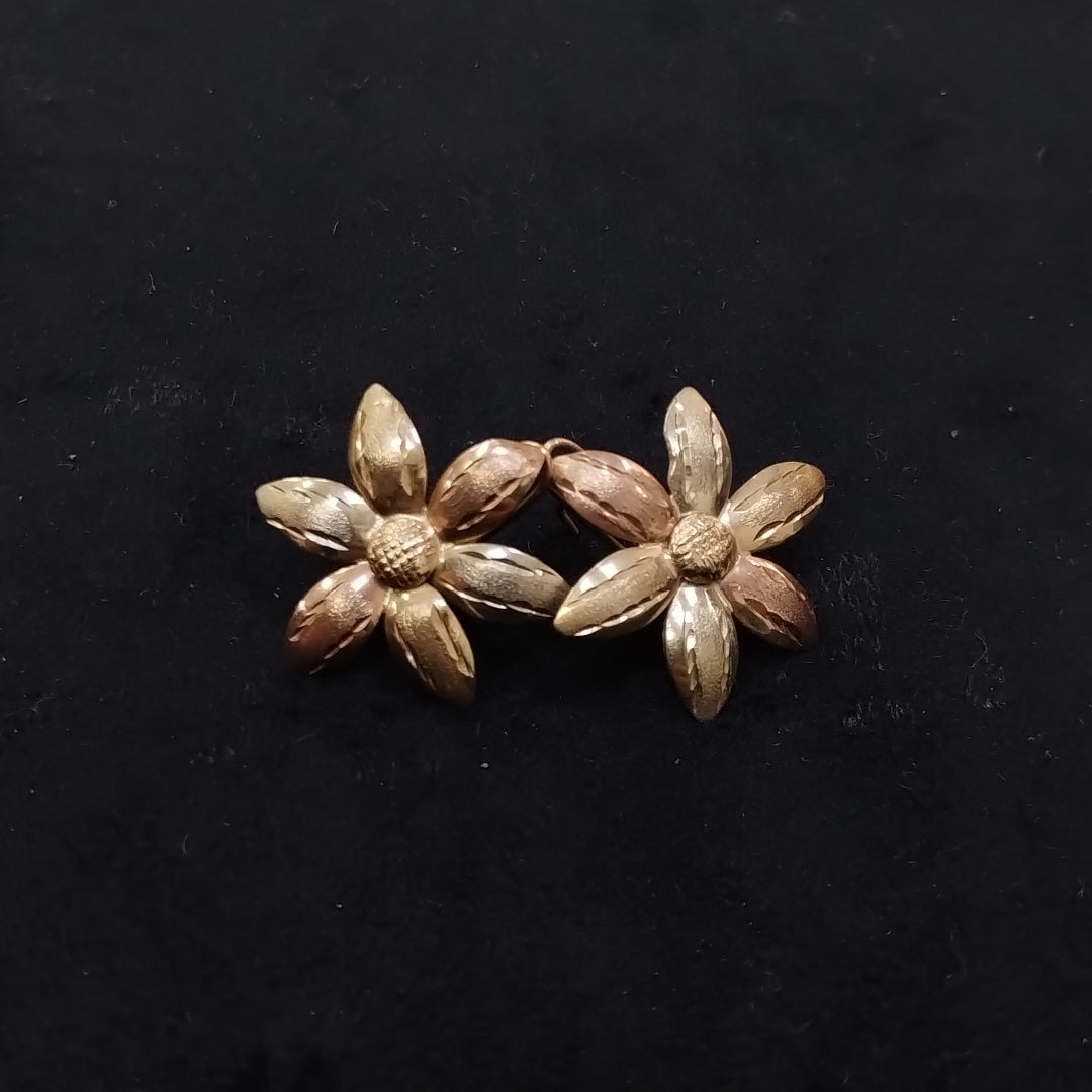 ARETES PAR ORO 10 K 3.4 GRMS (SEMINUEVO)