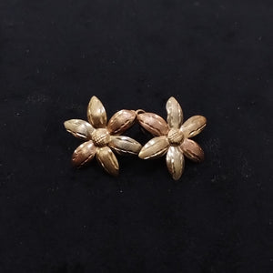 ARETES PAR ORO 10 K 3.4 GRMS (SEMINUEVO)