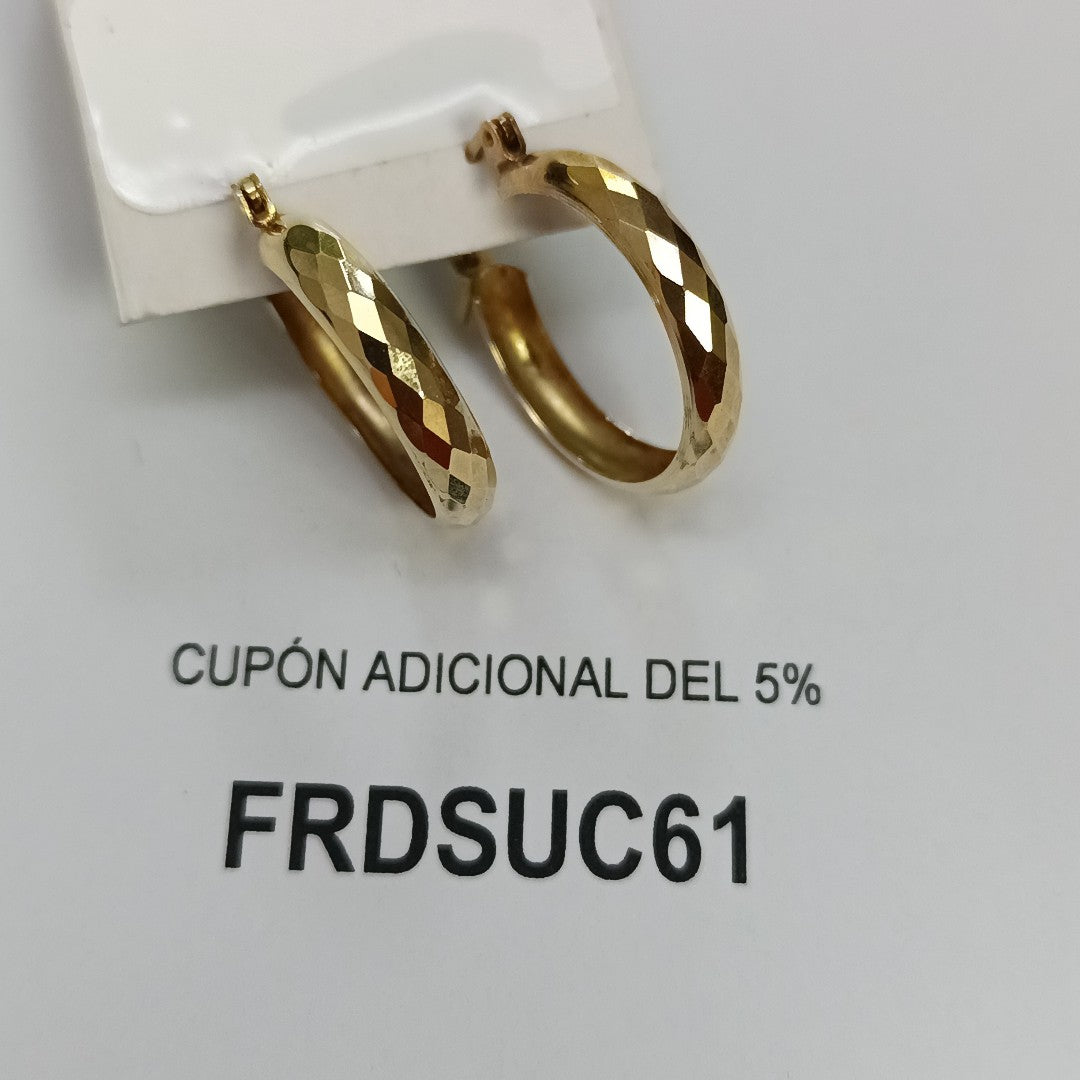 ARETES PAR ORO 10 K 1,70 GRMS (SEMINUEVO)
