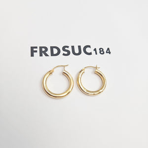 ARRACADAS PAR ORO 10 K 2.5 GRMS (SEMINUEVO)
