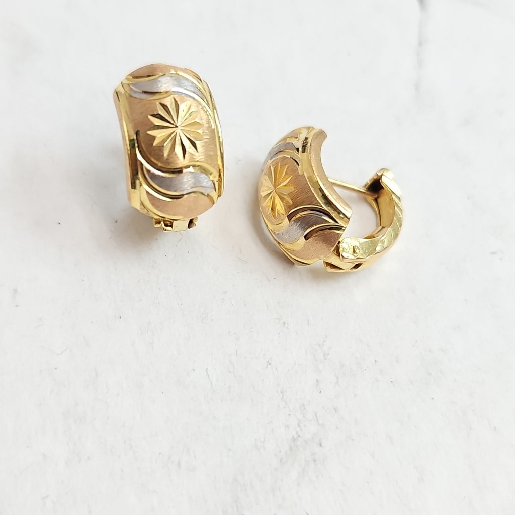 ARETES PAR ORO 10 K 2,40 GRMS (SEMINUEVO)