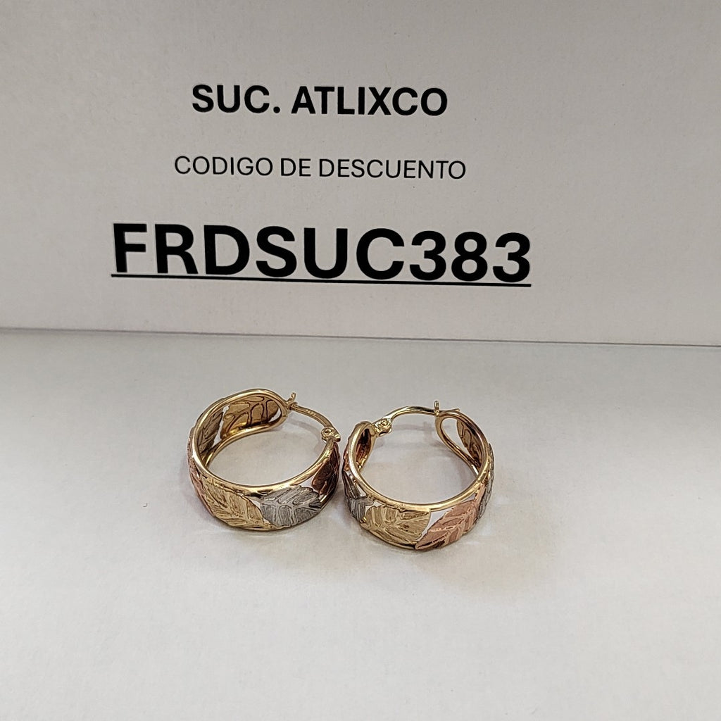 ARRACADAS PAR ORO 14 K 5,20 GRMS (SEMINUEVO)