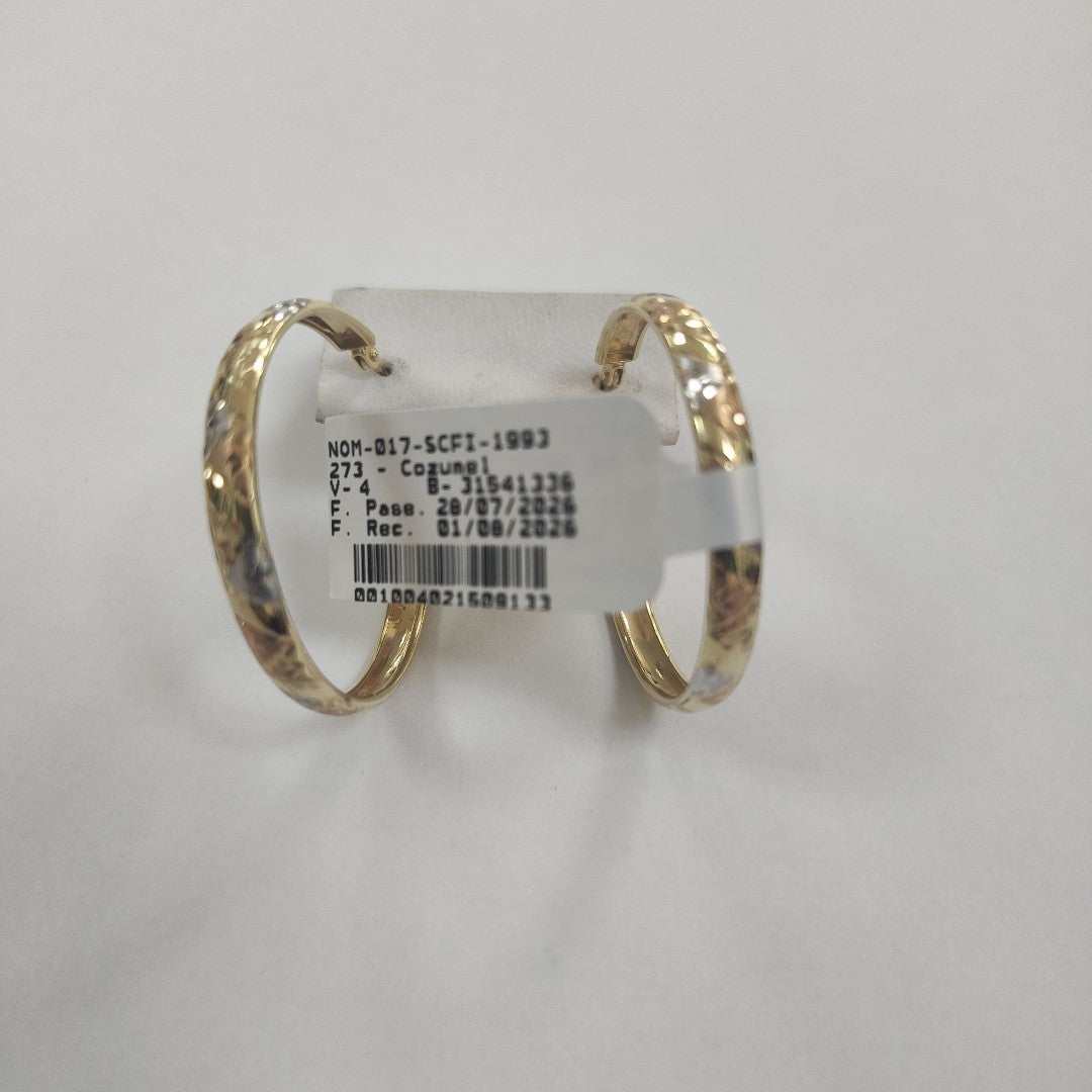 ARETES PAR ORO 10 K 2,50 GRMS (SEMINUEVO)