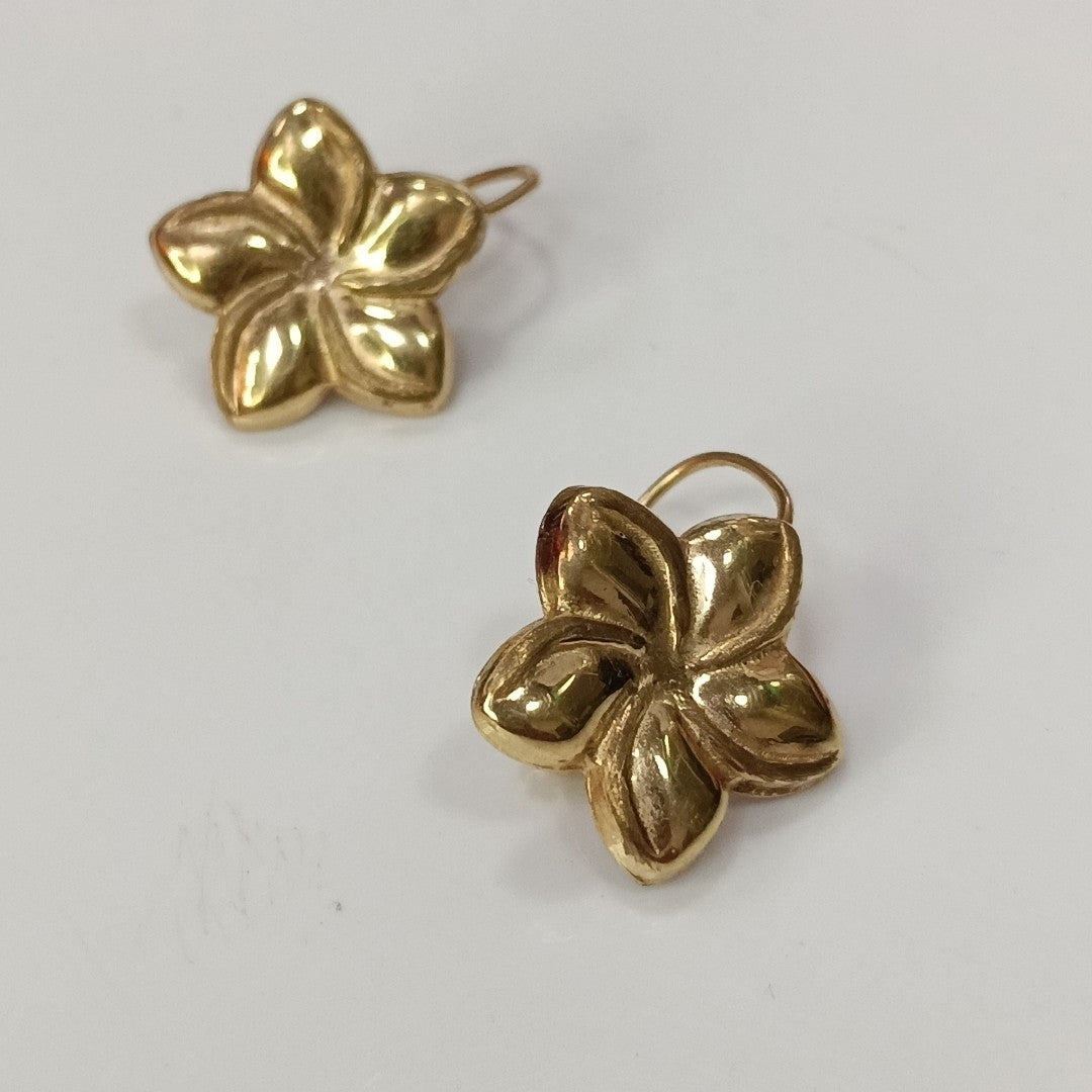 ARETES PAR ORO 10 K 1.5 GRMS (SEMINUEVO)