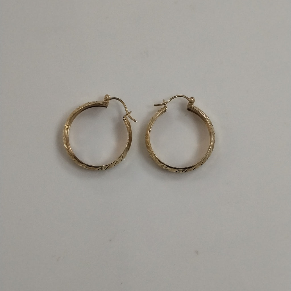 ARRACADAS PAR ORO 10 K 3,30 GRMS (SEMINUEVO)