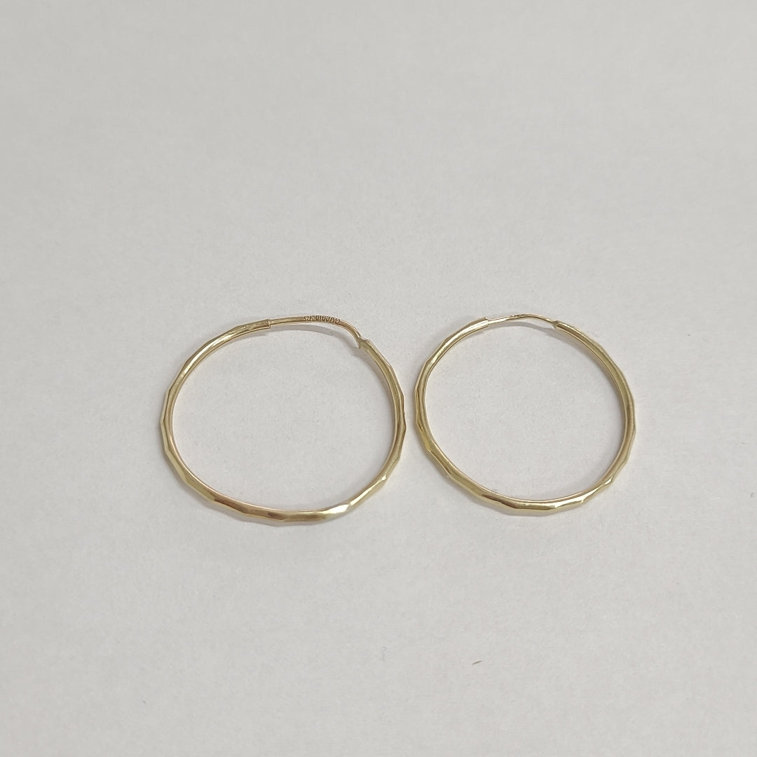 ARETES PAR ORO 10 K 1.2 GRMS (SEMINUEVO)