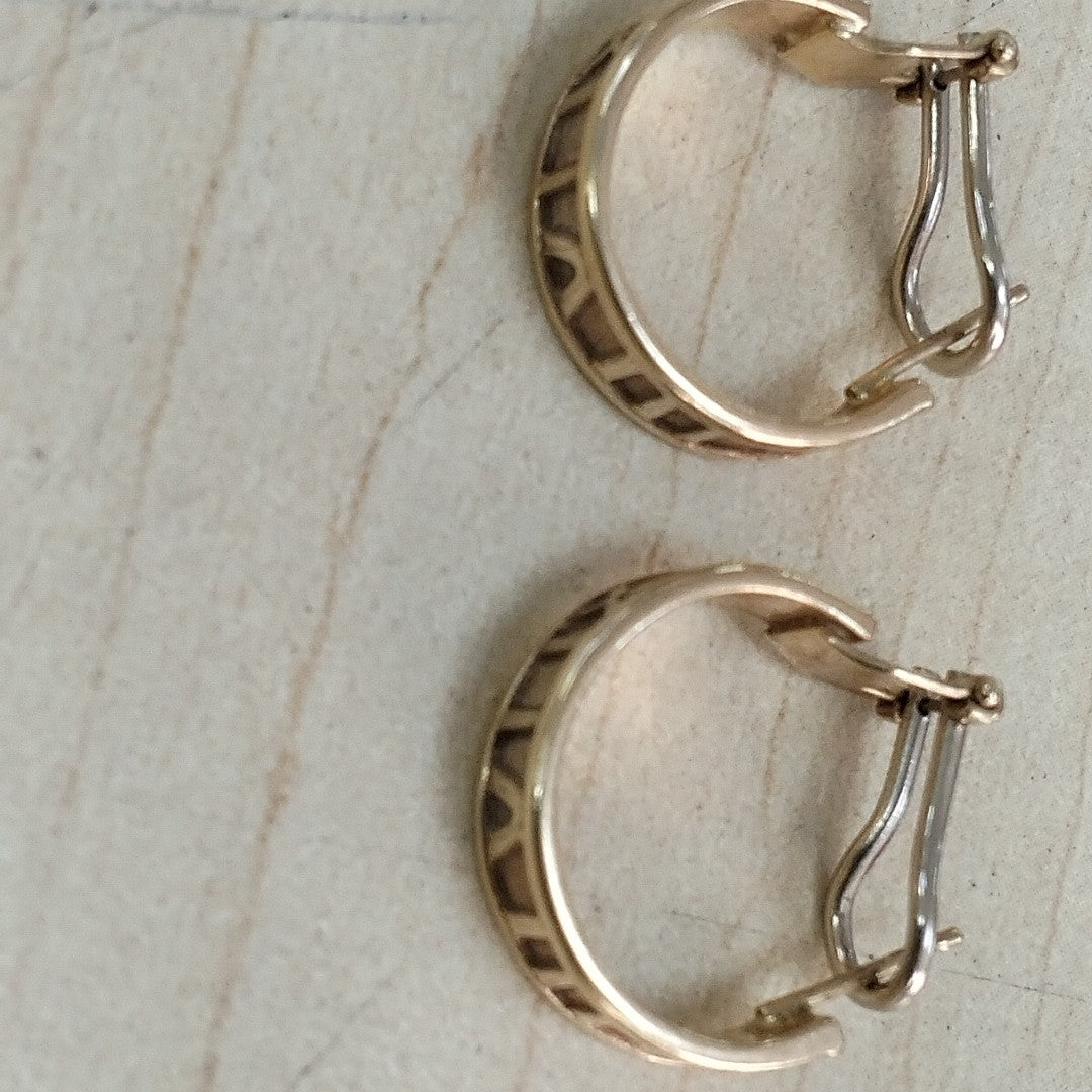 ARRACADAS PAR ORO 10 K 6,80 GRMS (SEMINUEVO)