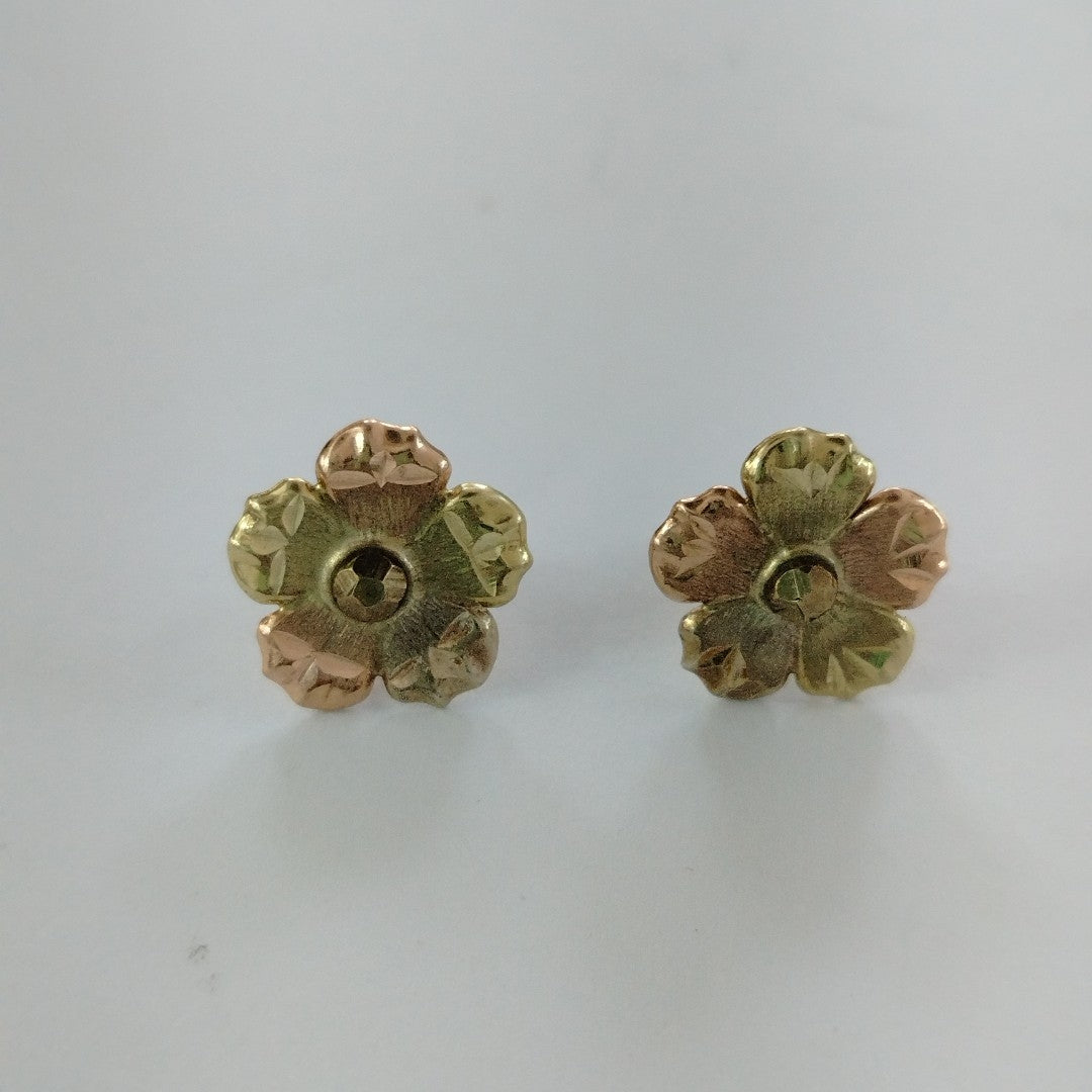 ARETES PAR ORO 10 K 2.5 GRMS (SEMINUEVO)