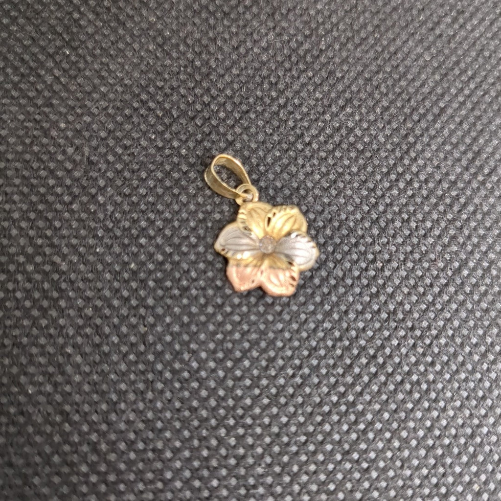 DIJE ORO, ORO COMBINADO 10 K 0.4 GRMS (SEMINUEVO)
