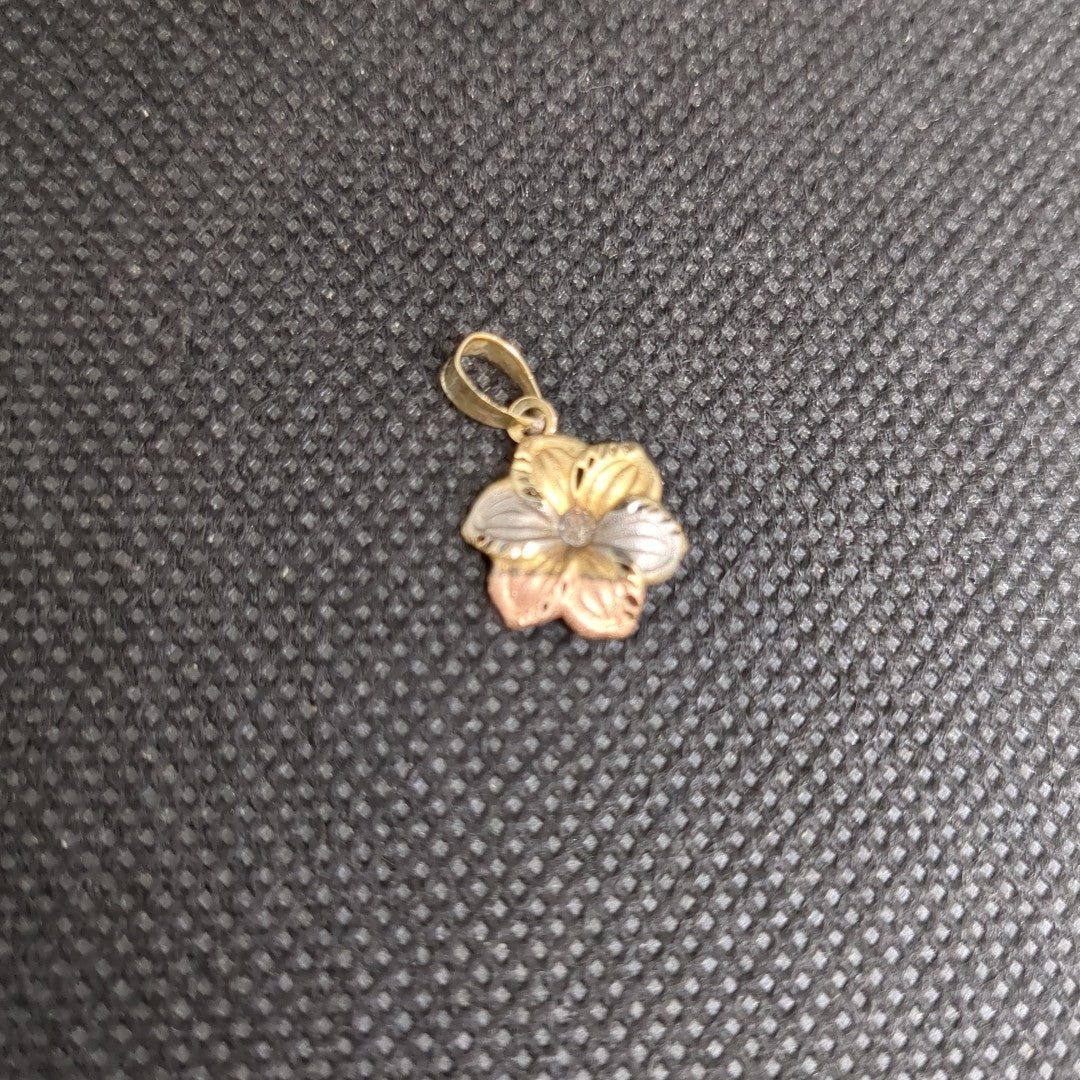 DIJE ORO, ORO COMBINADO 10 K 0.4 GRMS (SEMINUEVO)
