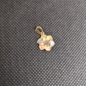 DIJE ORO, ORO COMBINADO 10 K 0.4 GRMS (SEMINUEVO)