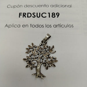 DIJE PLATA 10.9 GRMS (SEMINUEVO)