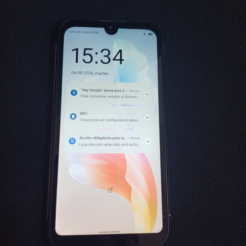 CELULAR OTRAS MARCAS OTROS MODELOS 64 GB 4 GB RAM (SEMINUEVO)