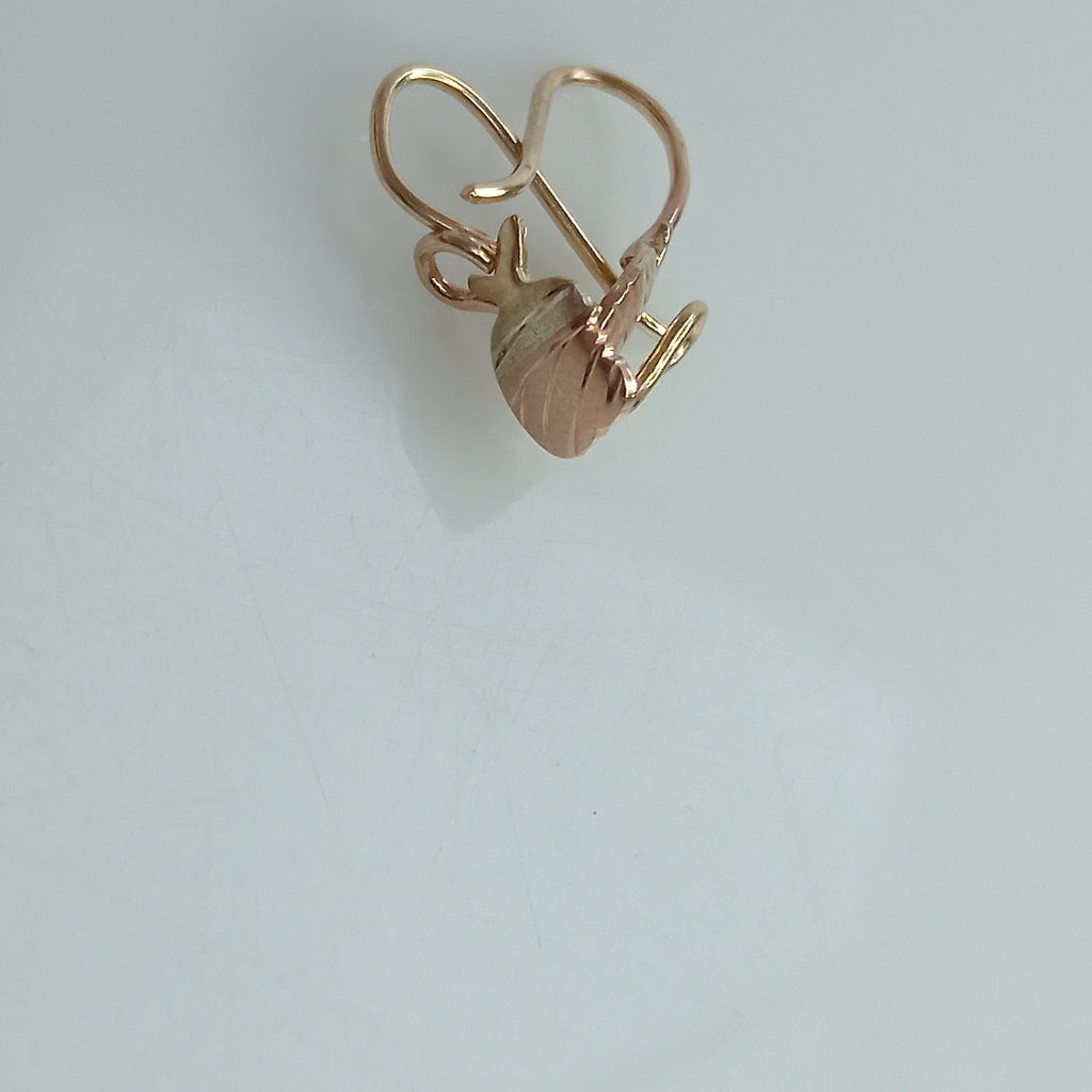 ARETES PAR ORO 10 K 0,70 GRMS (SEMINUEVO)