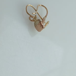 ARETES PAR ORO 10 K 0,70 GRMS (SEMINUEVO)