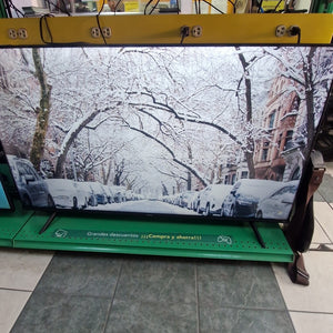 PANTALLA HISENSE 55A6H (2024) 55" LED 4K (SEMINUEVO)