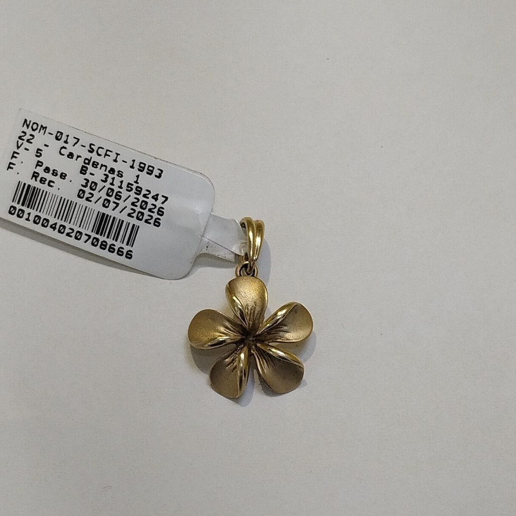 DIJE ORO 10 K 2.4 GRMS (SEMINUEVO)