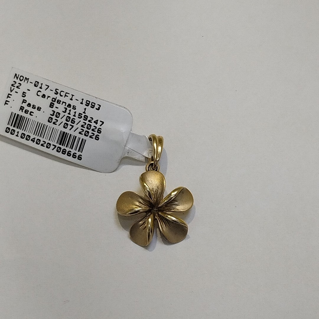 DIJE ORO 10 K 2.4 GRMS (SEMINUEVO)