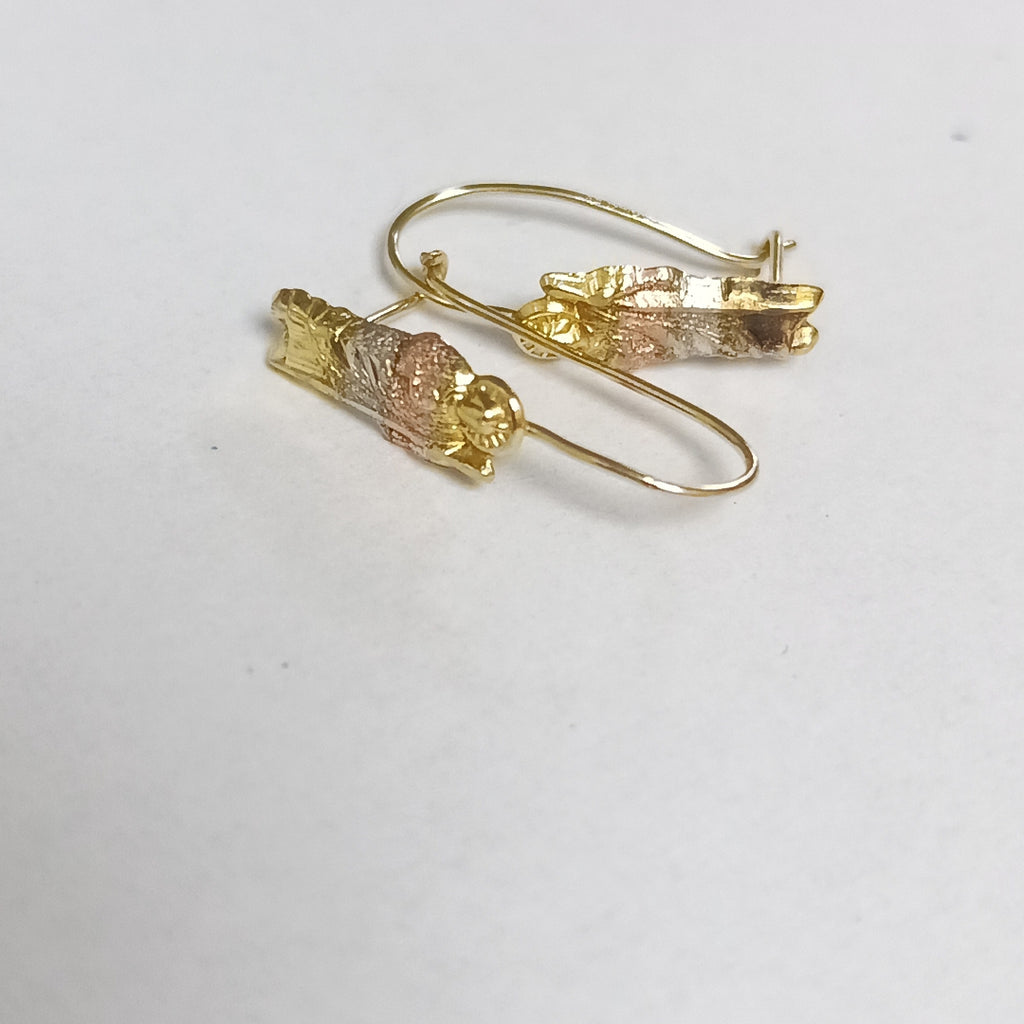 ARETES PAR ORO 10 K 1 GRMS (SEMINUEVO)