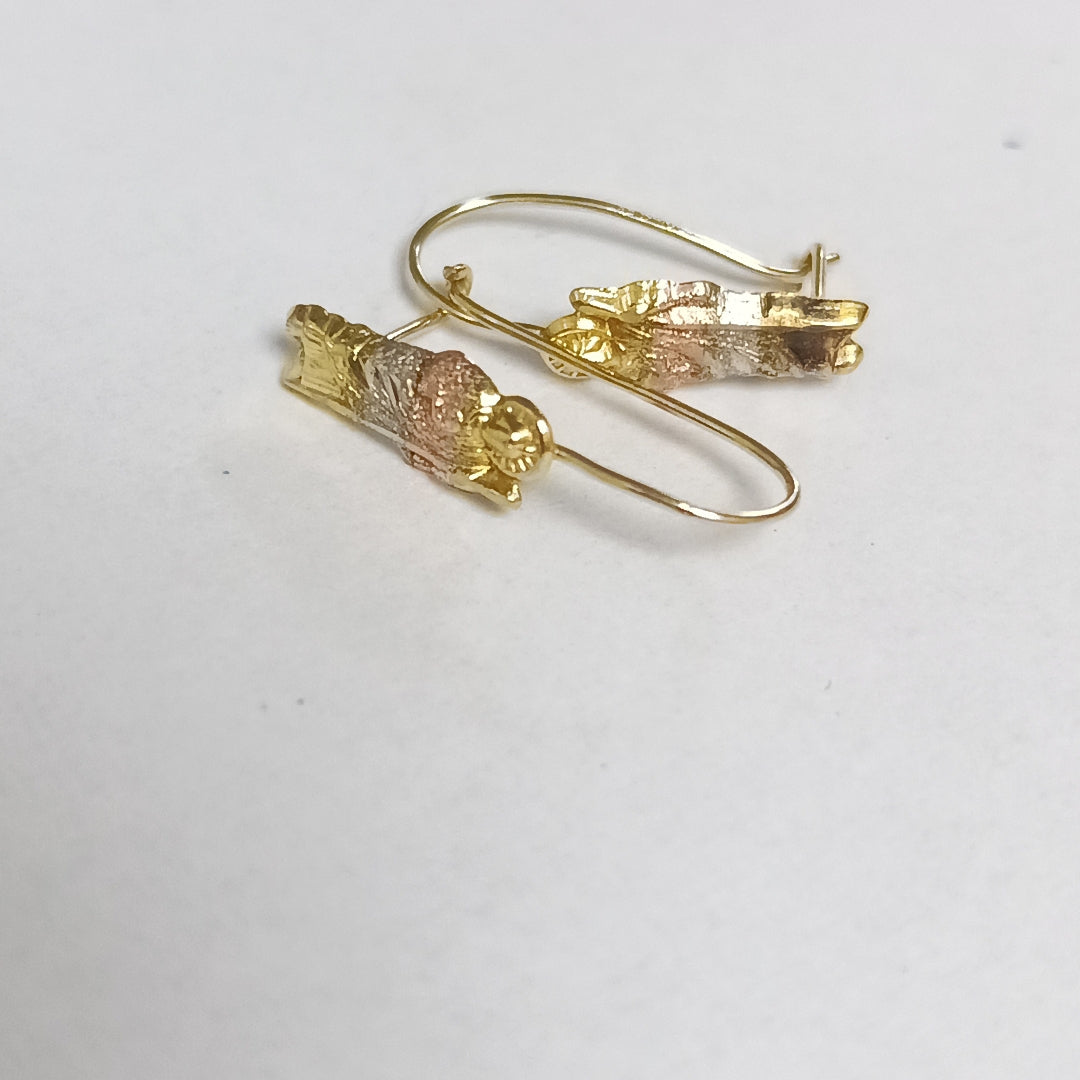 ARETES PAR ORO 10 K 1 GRMS (SEMINUEVO)