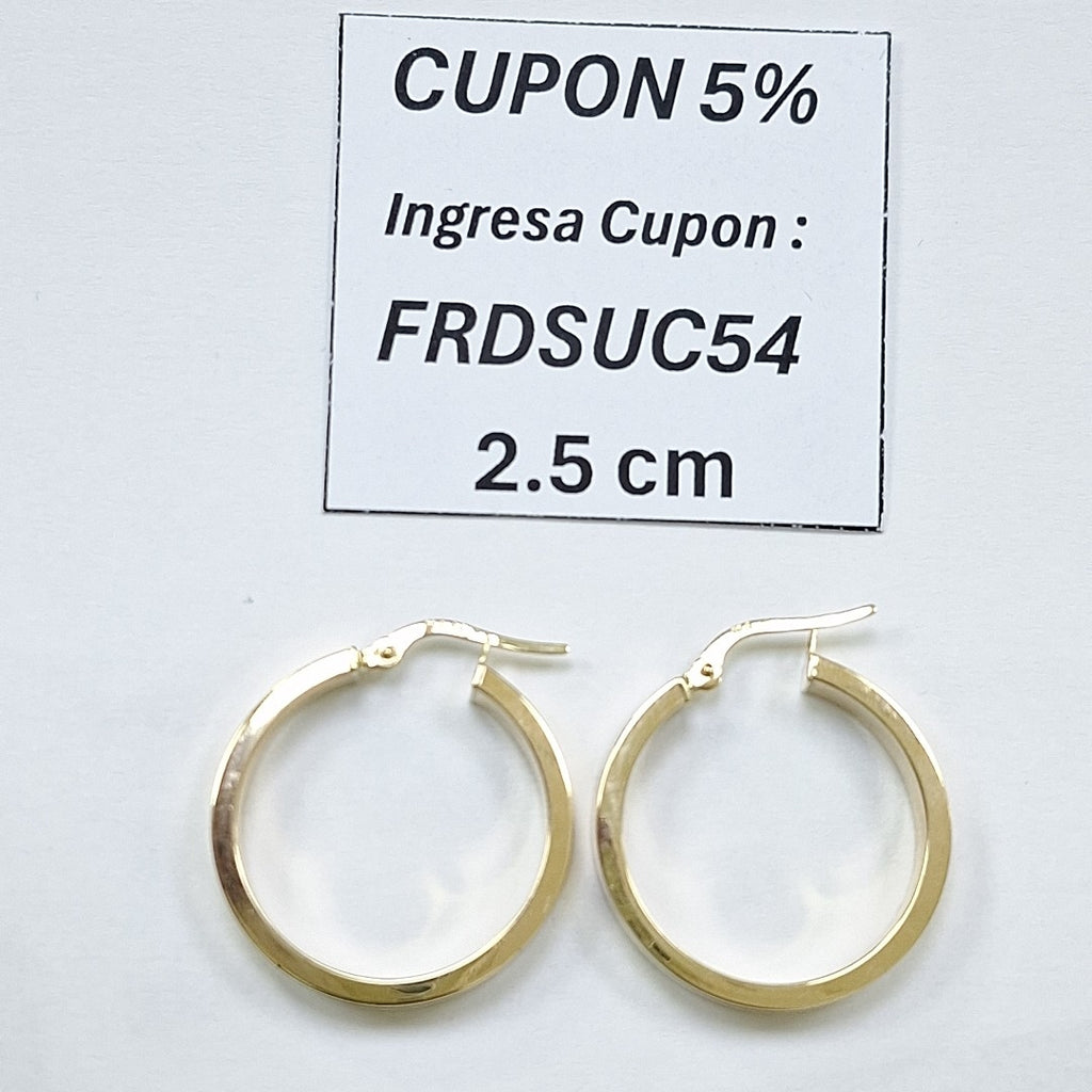 ARRACADAS ORO 14K 2.4 (NUEVO)