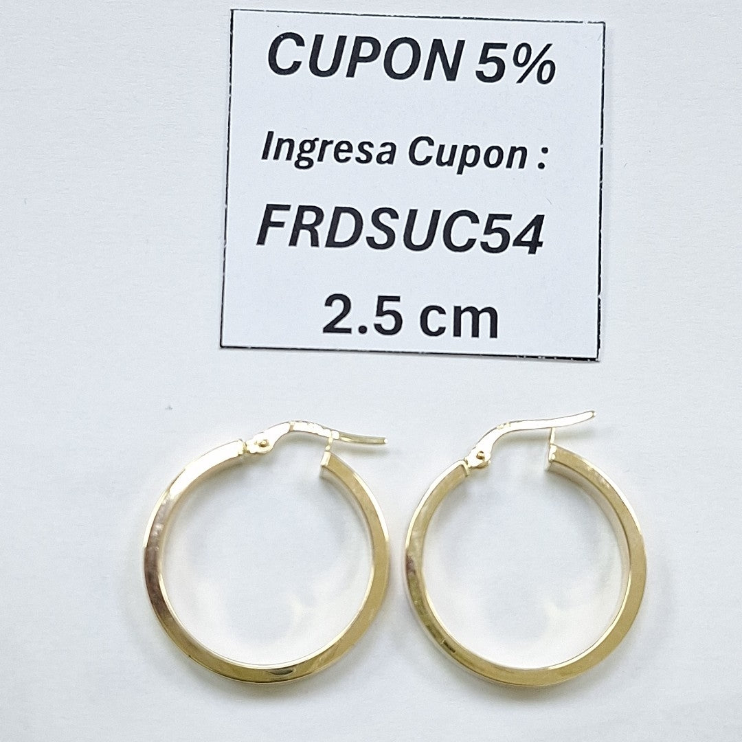 ARRACADAS ORO 14K 2.4 (NUEVO)