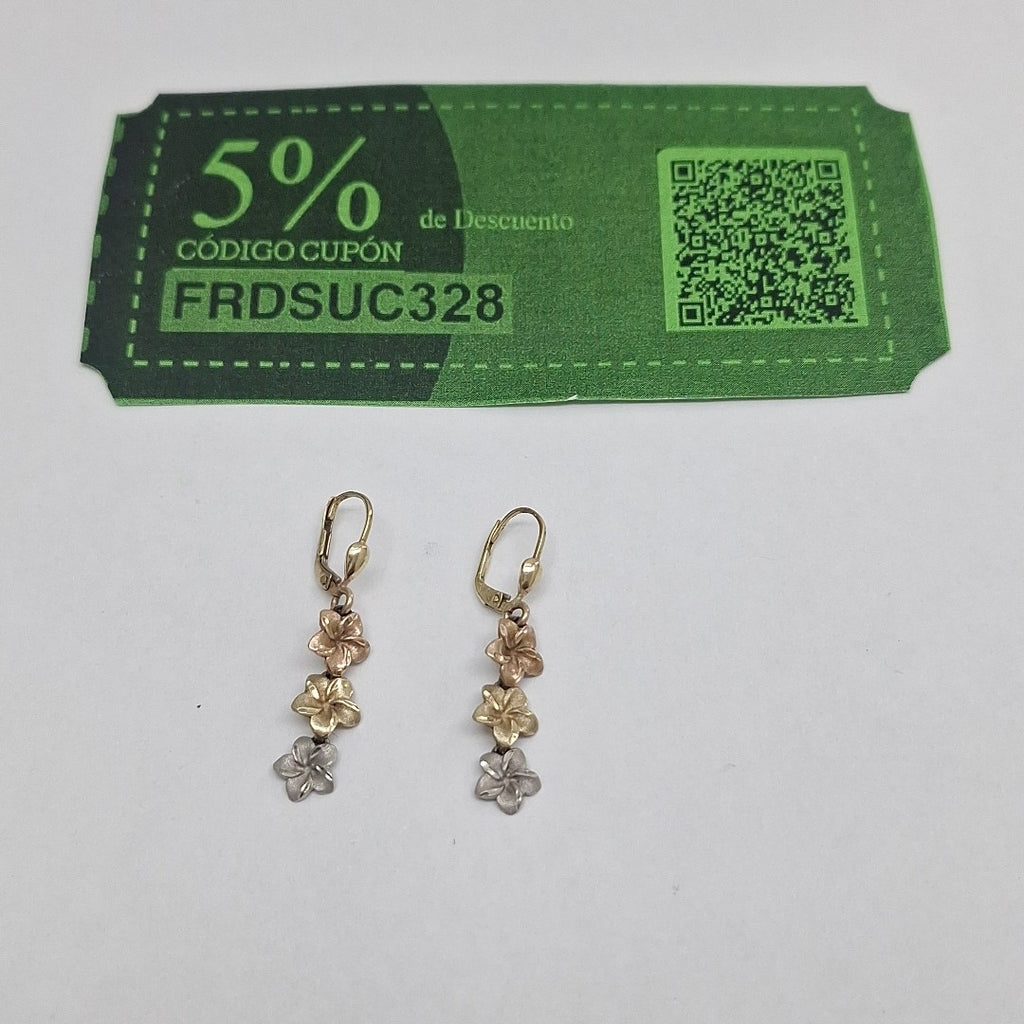 ARETES PAR ORO 10 K 2.8 GRMS (SEMINUEVO)