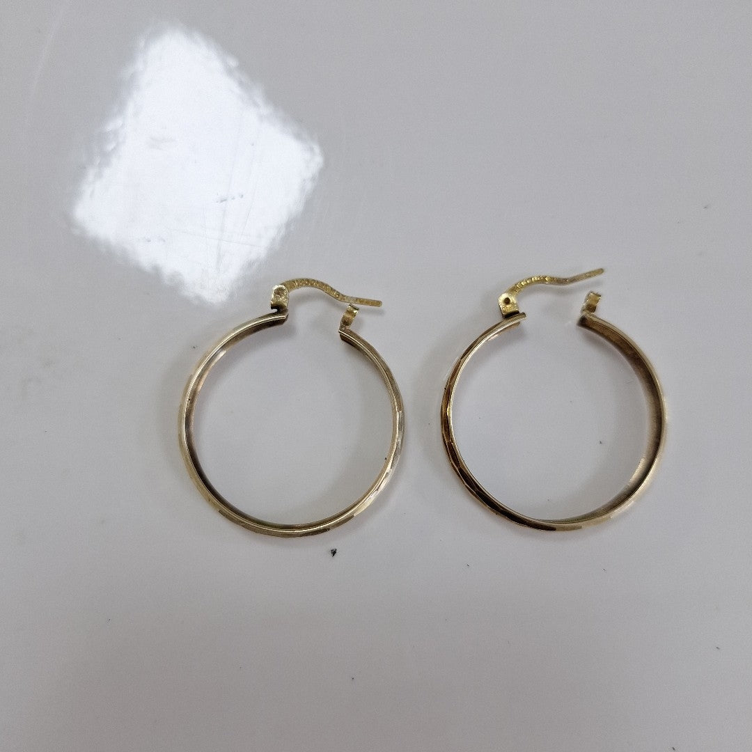 ARRACADAS PAR ORO 10 K 3 GRMS (SEMINUEVO)
