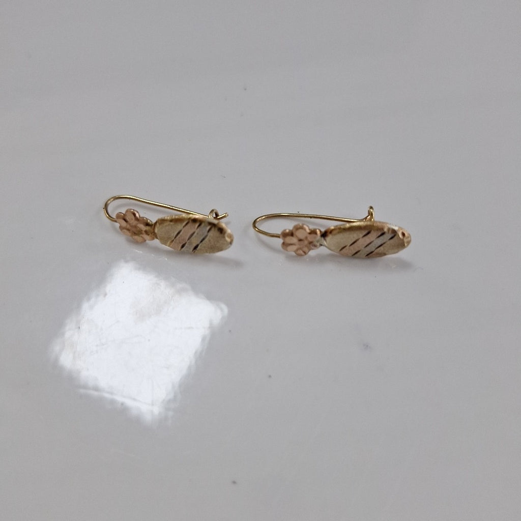 ARETES PAR ORO 10 K 1 GRMS (SEMINUEVO)
