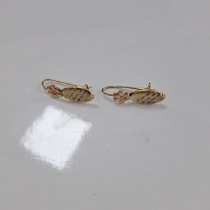 ARETES PAR ORO 10 K 1 GRMS (SEMINUEVO)