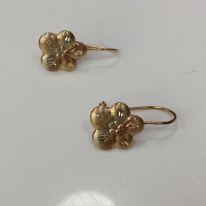 ARETES PAR ORO 10 K 1.1 GRMS (SEMINUEVO)