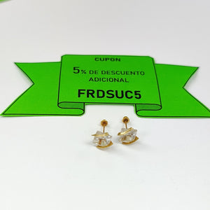 BROQUELES PAR ORO 10 K 1 GRMS (SEMINUEVO)
