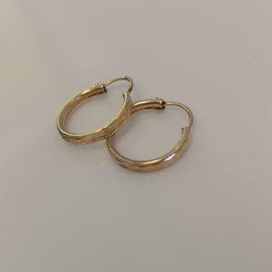 ARRACADAS PAR ORO 10 K 1.1 GRMS (SEMINUEVO)
