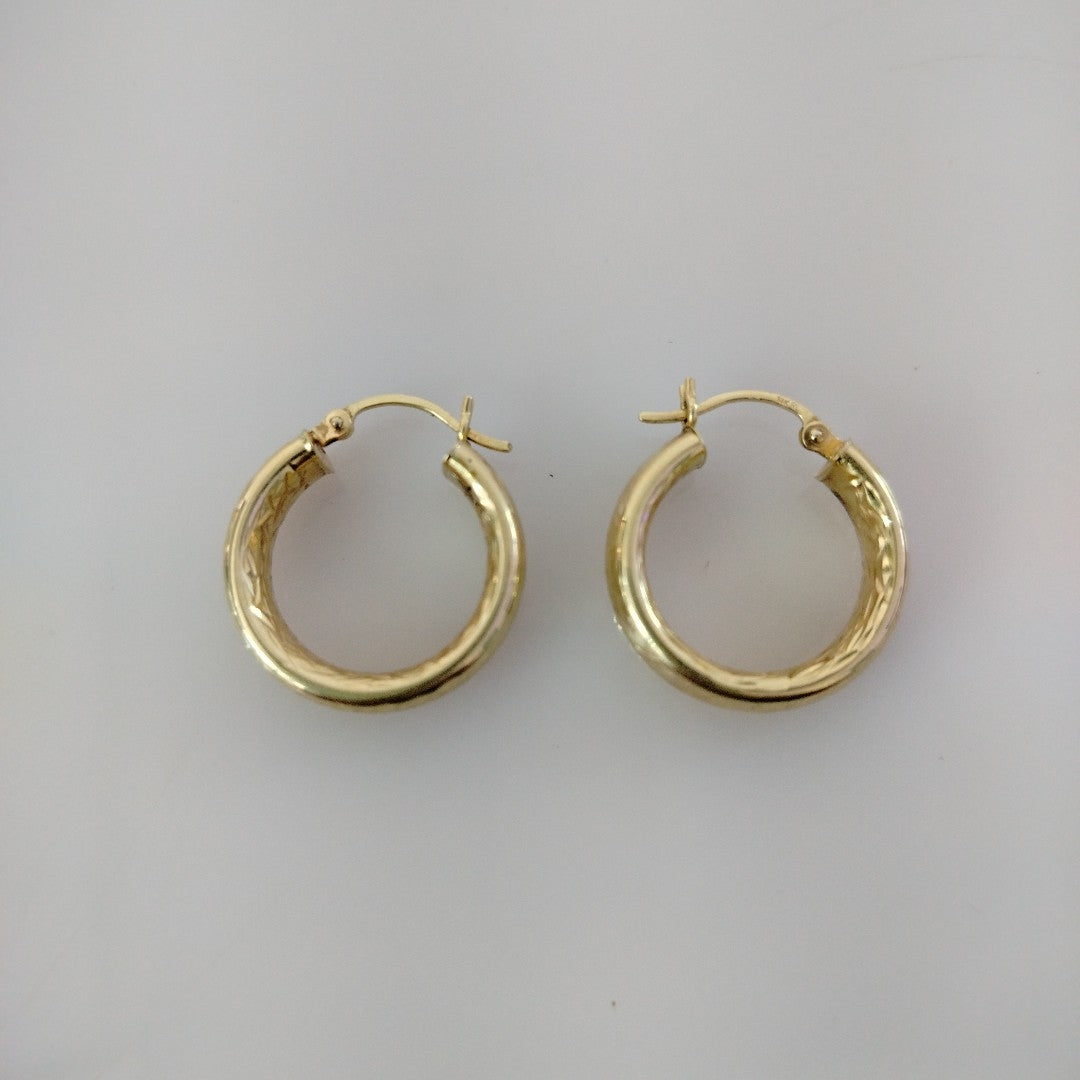 ARRACADAS PAR ORO 14 K 2.3 GRMS (SEMINUEVO)