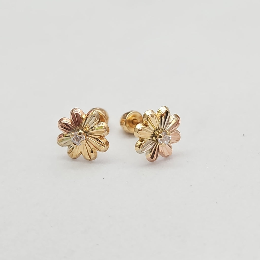 ARETES PAR ORO 10 K 0.3 GRMS (SEMINUEVO)