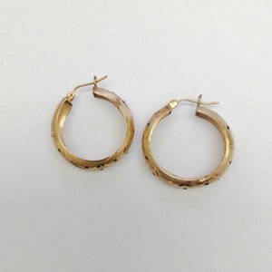ARRACADAS PAR ORO 10 K 3.4 GRMS (SEMINUEVO)