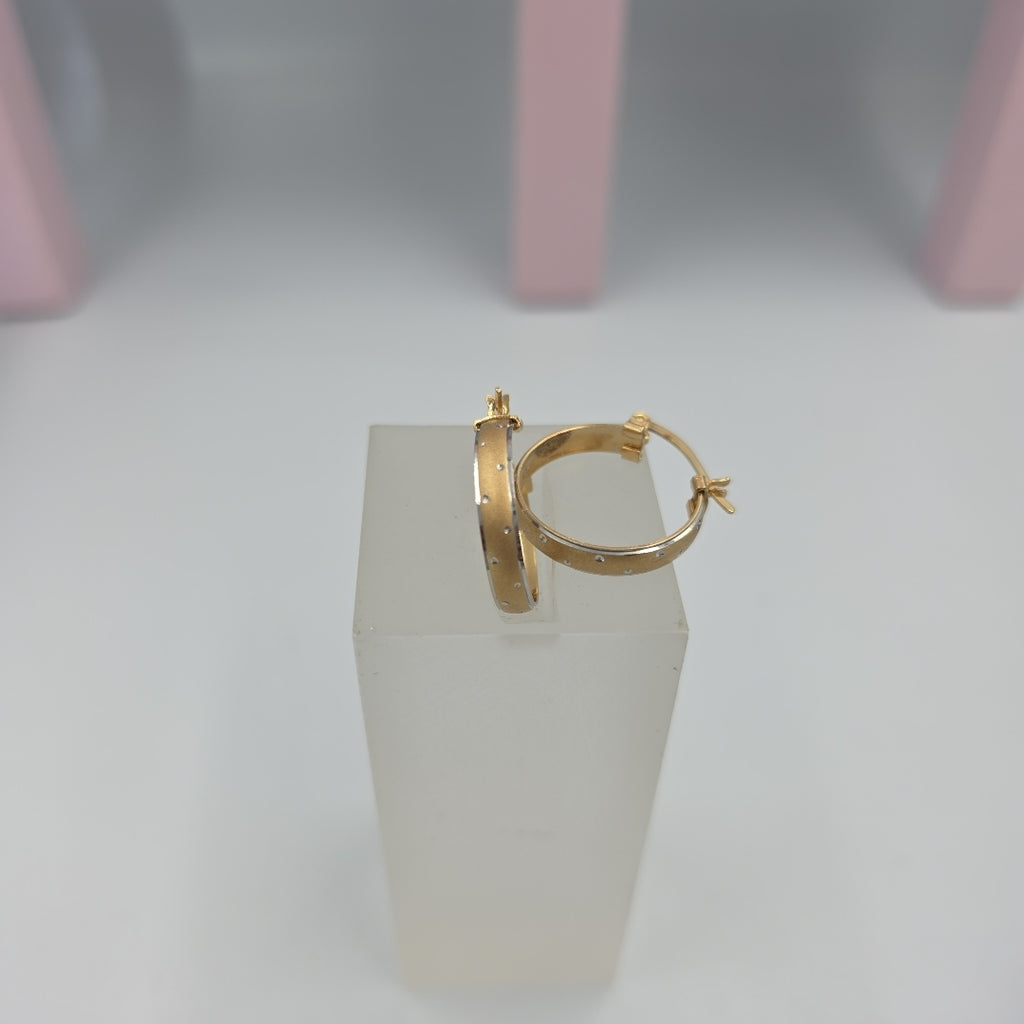 ARRACADAS PAR ORO 14 K 3.6 GRMS (SEMINUEVO)