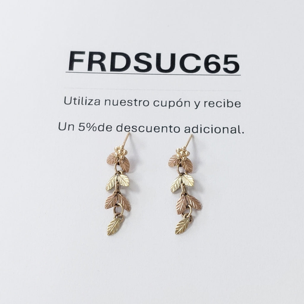 ARETES PAR ORO COMBINADO 10 K 1,30 GRMS (SEMINUEVO)