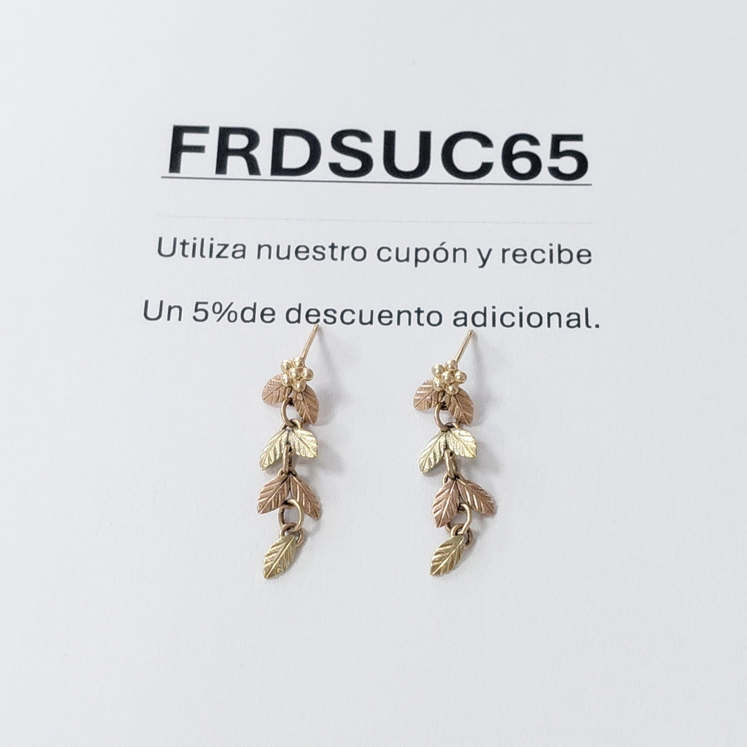 ARETES PAR ORO COMBINADO 10 K 1,30 GRMS (SEMINUEVO)